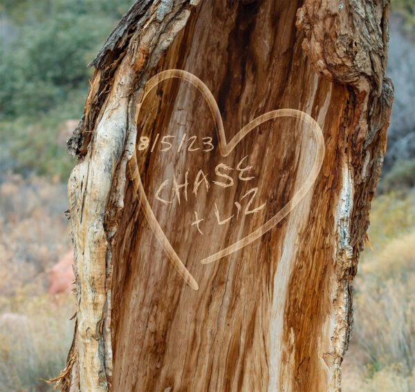 Desert Tree - Personalized Art for Couples (Weddings, Anniversaries) - Image 3